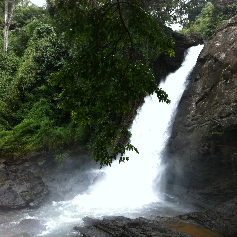 Enjoy the Scenic Beauty of Soochipara Falls